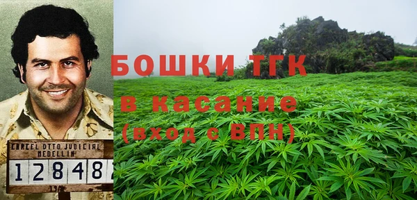 сатива Нефтекумск