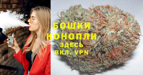 сатива Нефтекумск