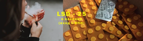 шишки Нея
