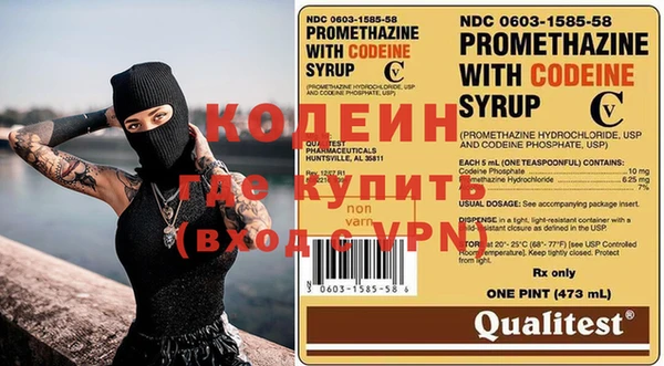 шишки Нея