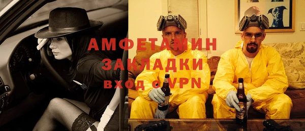 шишки Нея