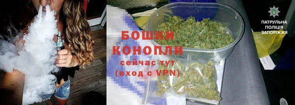 сатива Нефтекумск