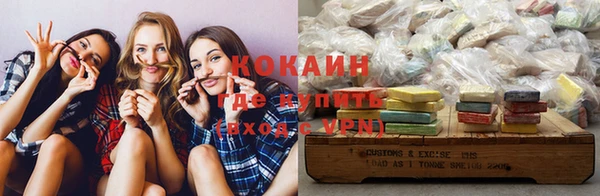 шишки Нея