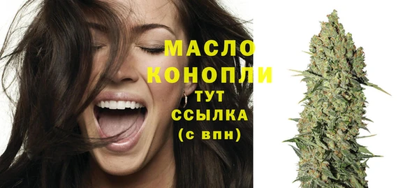 шишки Нея
