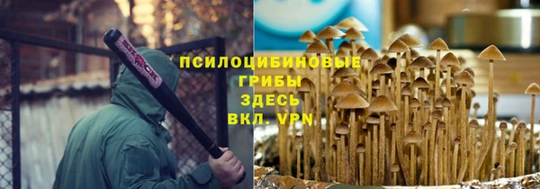 сатива Нефтекумск