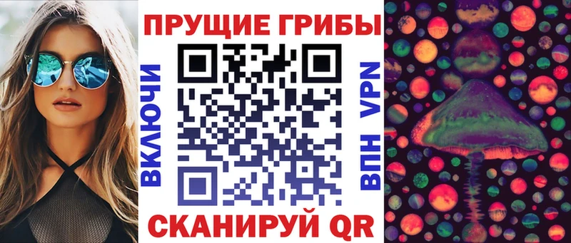 где найти Краснозаводск Псилоцибиновые грибы GOLDEN TEACHER