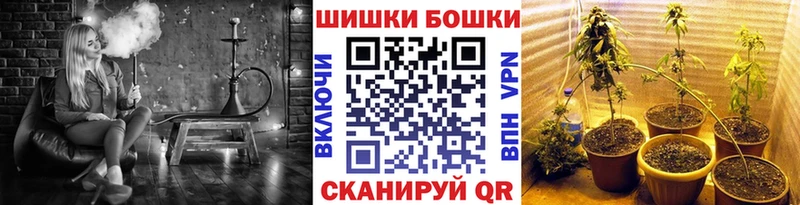 Бошки марихуана индика  купить наркоту  Краснозаводск 